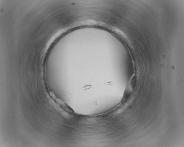 X0000069391326200606091707