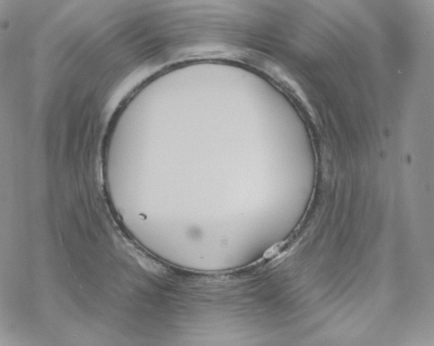 X0000069391328200606091707