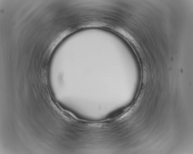 X0000069391329200606091707