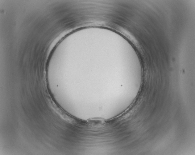 X0000069391332200606091707