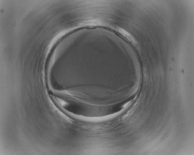 X0000069391334200606091707