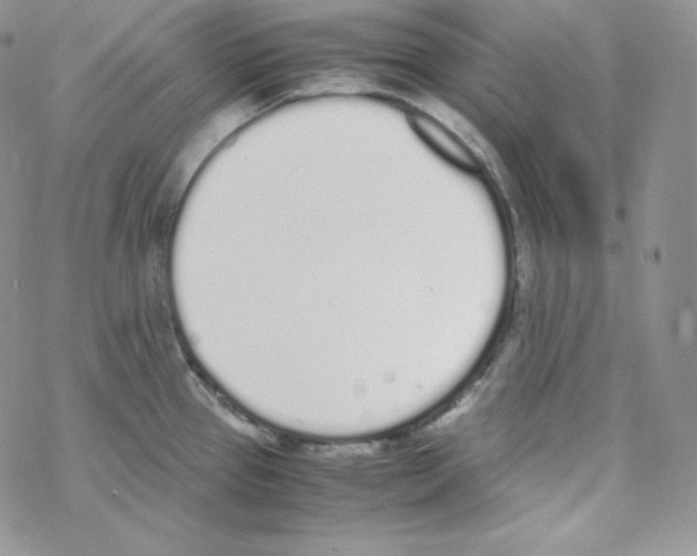 X0000069391337200606091707