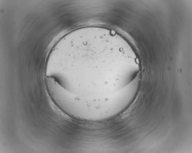 X0000069391338200606091707