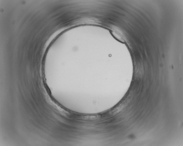 X0000069391339200606091707