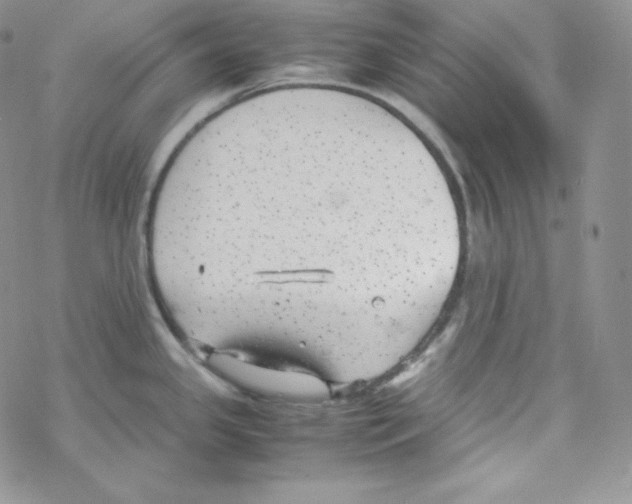 X0000069391341200606091707