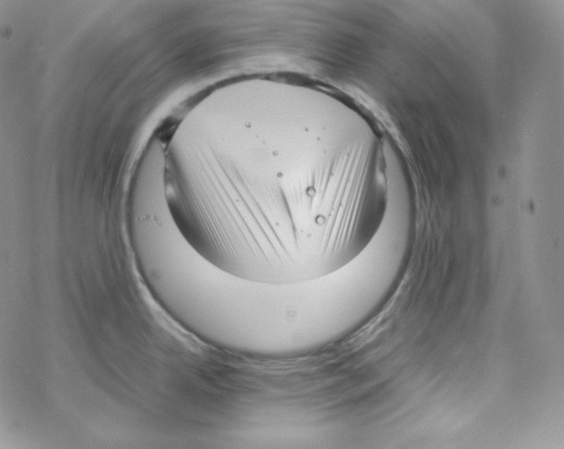 X0000069391342200606091707