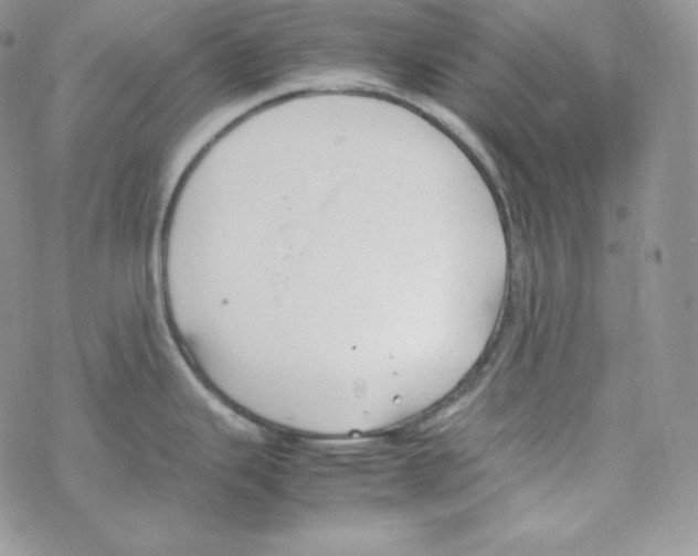 X0000069391343200606091707