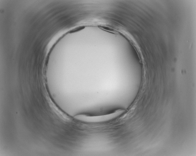 X0000069391344200606091707