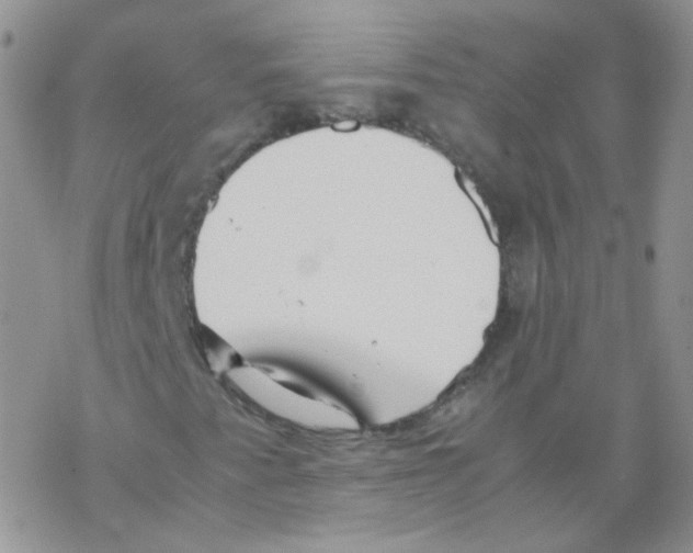 X0000069391345200606091706