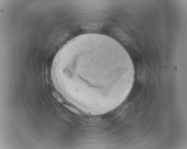 X0000069391346200606091706