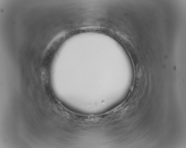 X0000069391351200606091706