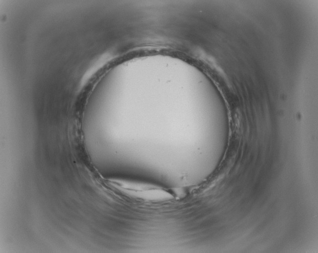 X0000069391352200606091706