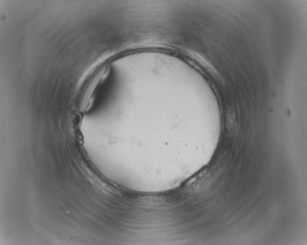 X0000069391356200606091706