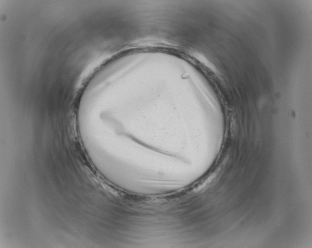 X0000069391358200606091706