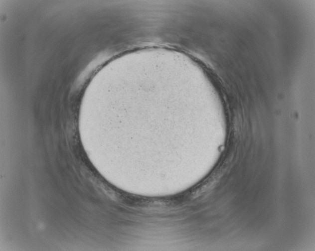 X0000069391359200606091706