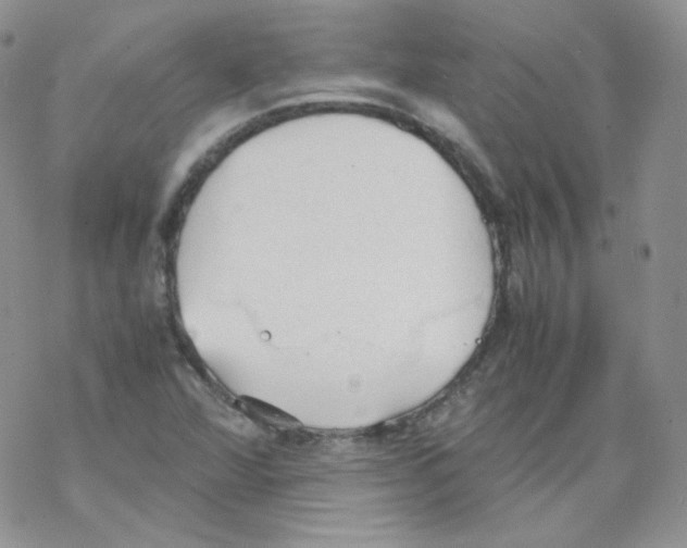 X0000069391360200606091706