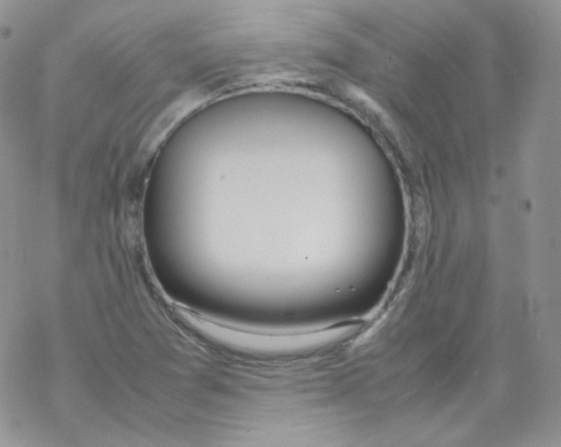 X0000069391361200606091706