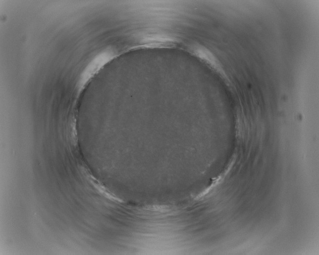 X0000069391362200606091706