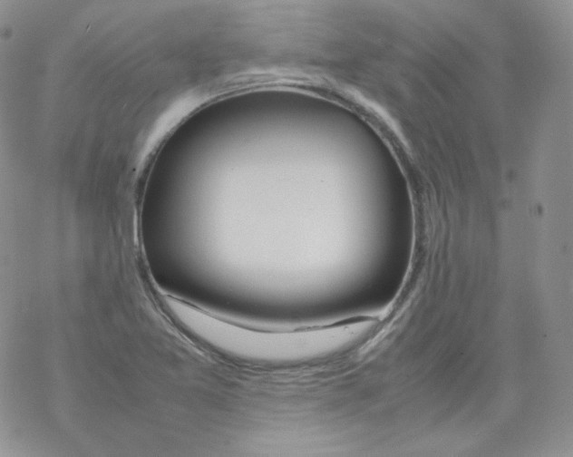 X0000069391365200606091706