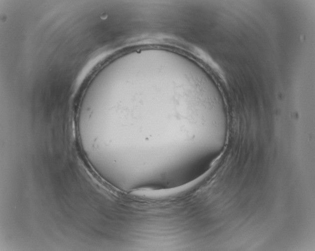 X0000069391368200606091706