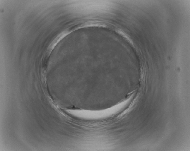 X0000069391369200606091706