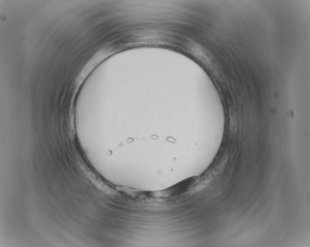 X0000069391370200606091706