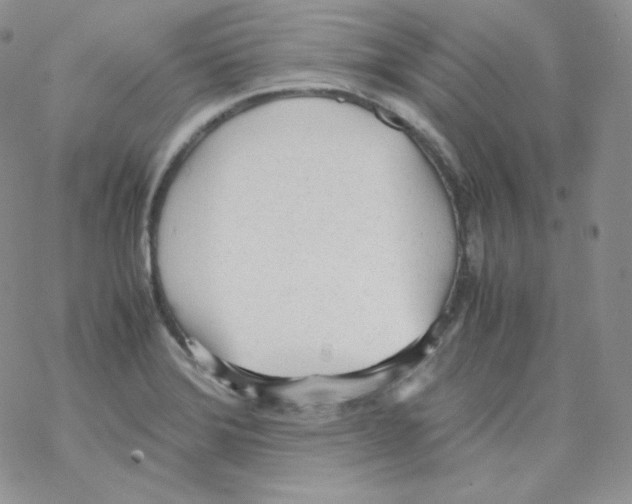 X0000069391372200606091706