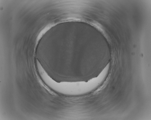 X0000069391373200606091706