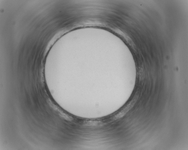 X0000069391374200606091706