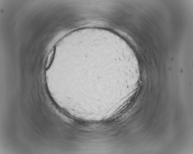 X0000069391375200606091706