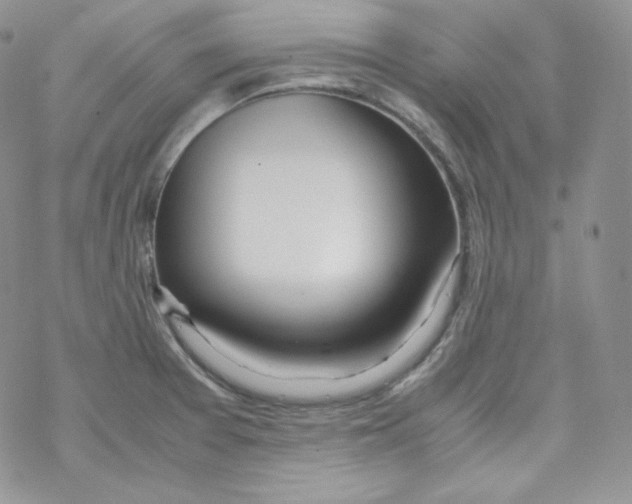 X0000069391377200606091706