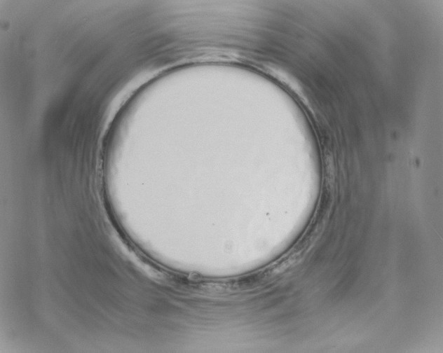 X0000069391379200606091706