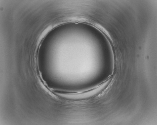 X0000069391381200606091706