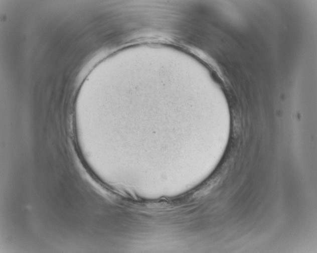 X0000069391383200606091705