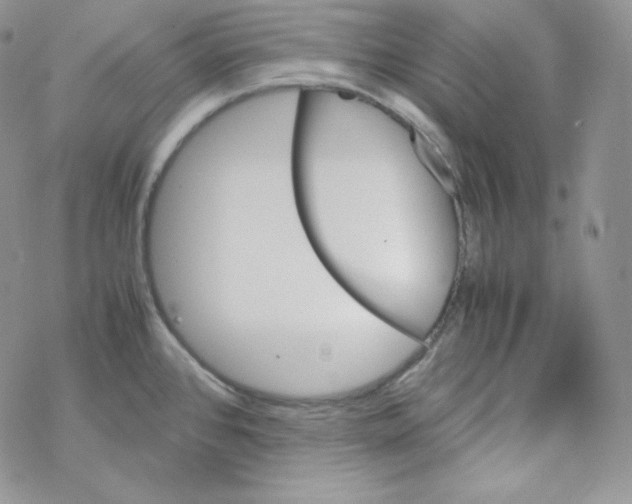 X0000069391384200606091705