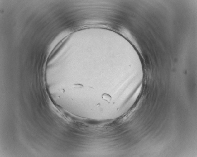 X0000069391386200606091705