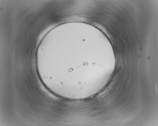 X0000069391387200606091705