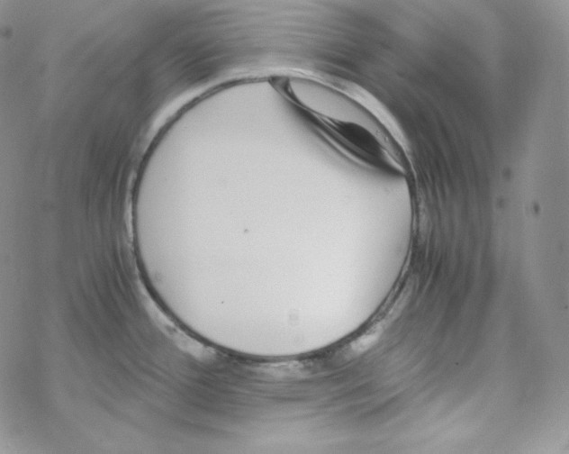 X0000069391388200606091705