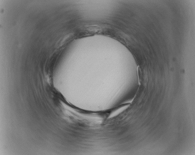 X0000069391394200606091705