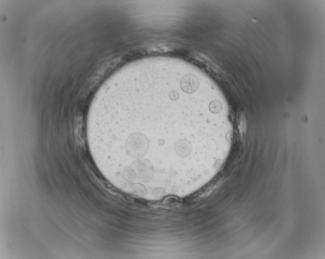 X0000069391396200606091705