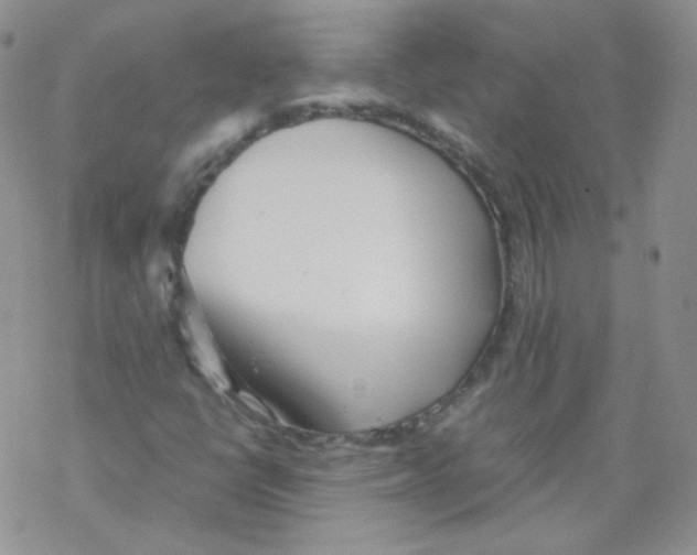 X0000069391398200606091705