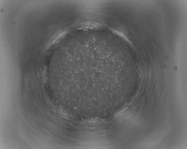 X0000069391399200606091705