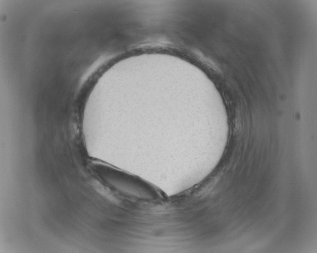 X0000069391400200606091705