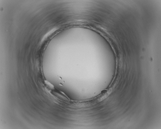 X0000069391402200606091705