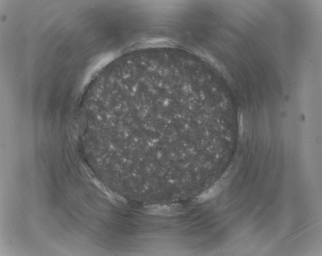 X0000069391405200606091705