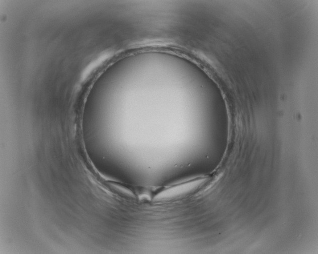 X0000069391406200606091705