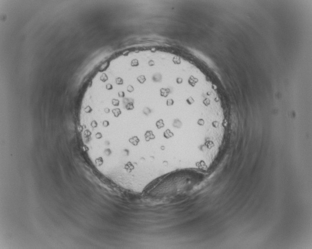 X0000069391407200606091705