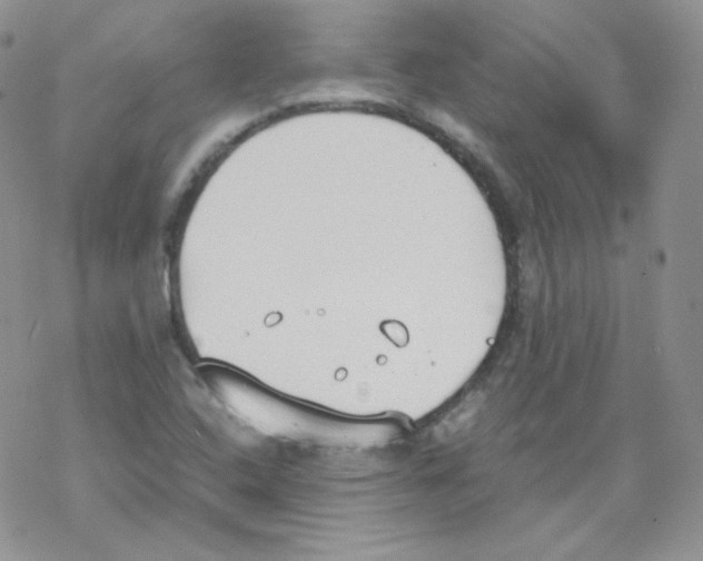 X0000069391408200606091705