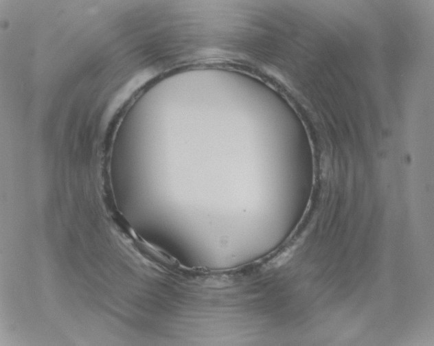 X0000069391410200606091705