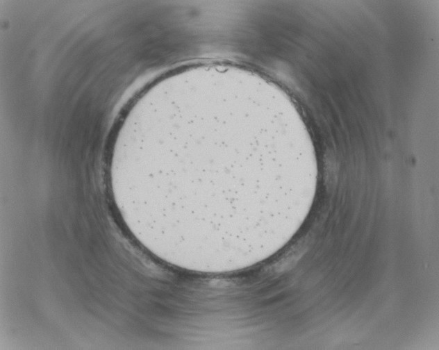 X0000069391412200606091705